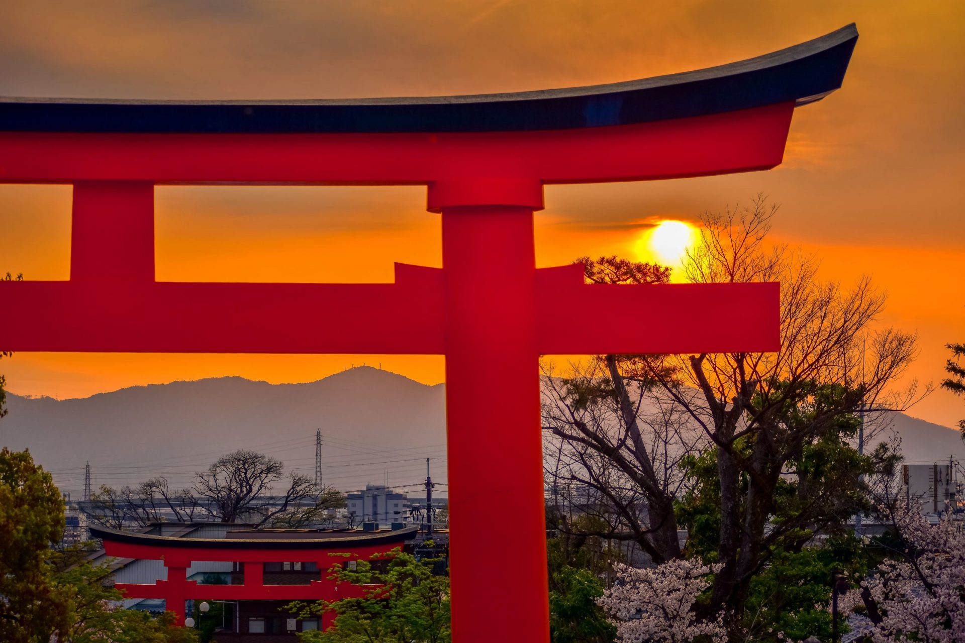 Read more about the article The Fushimi Inari sunset photography tour