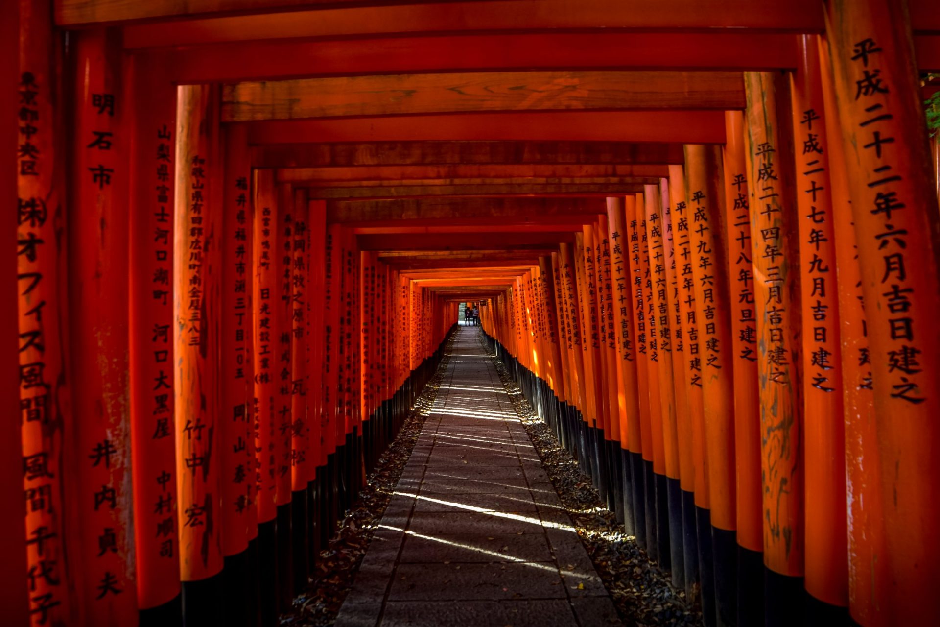 Read more about the article Kyoto travel guide – What to see