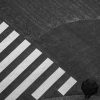 Minimalistic black and white photograph at the famous Shibuya crossing