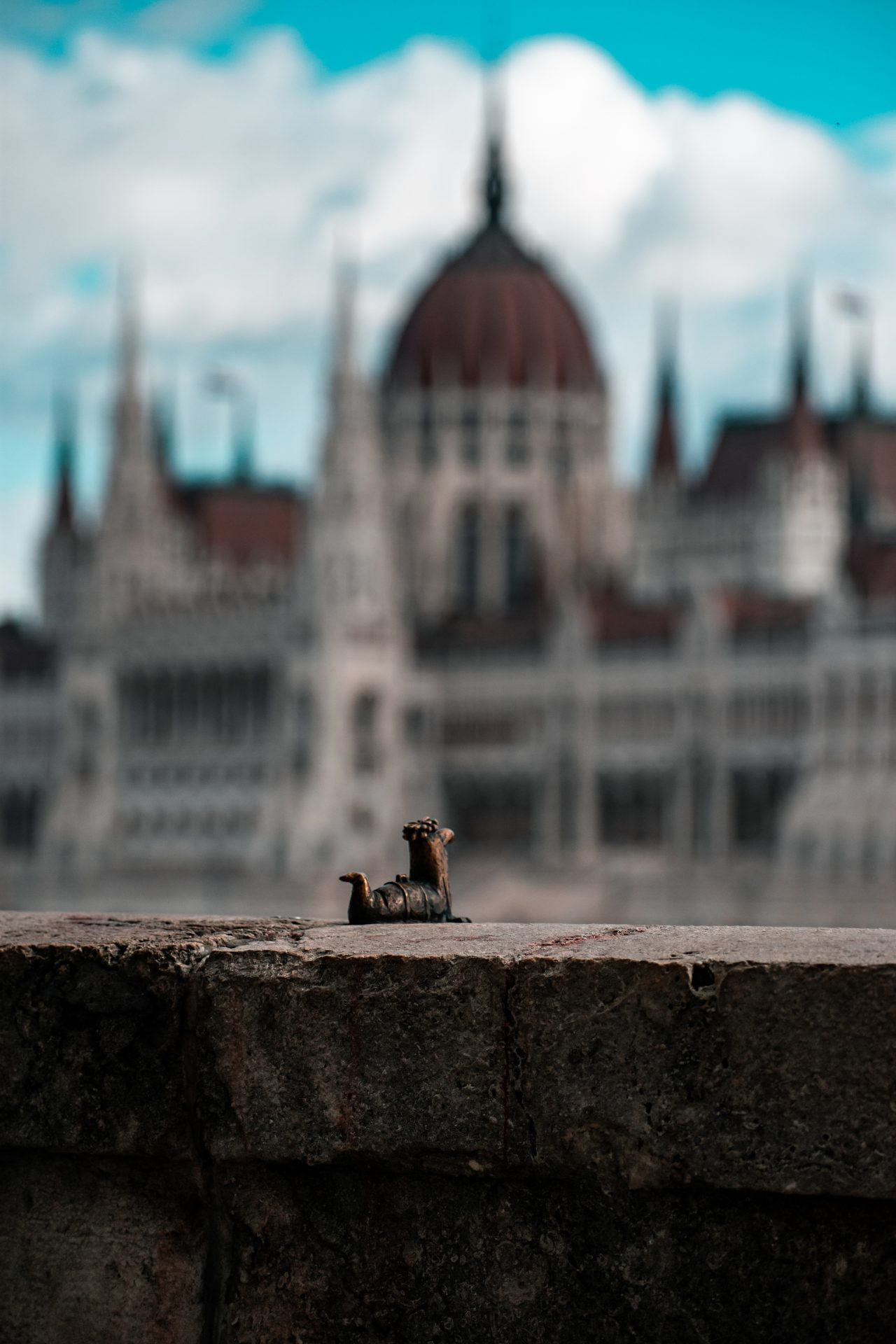 hungarian parliament in the background